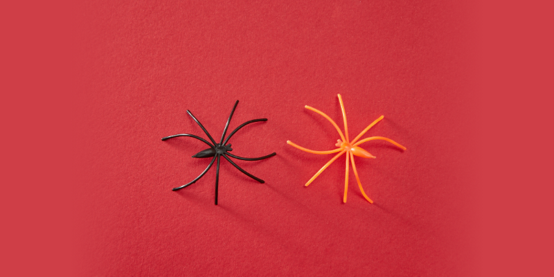 Black and Orange Plastic Spider on Red Background